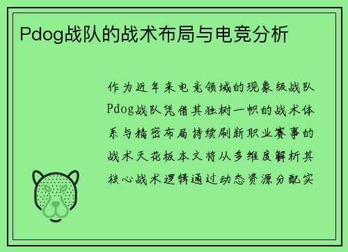 Pdog战队的战术布局与电竞分析